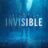 Invisible : 1.Sezon 1.Bölüm izle